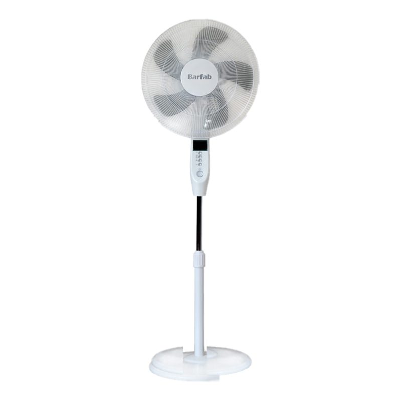 2021fan 800x800 1